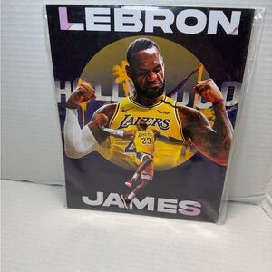 Bigwig Prints Lebron James Unframed Set Of 9 (8x10)